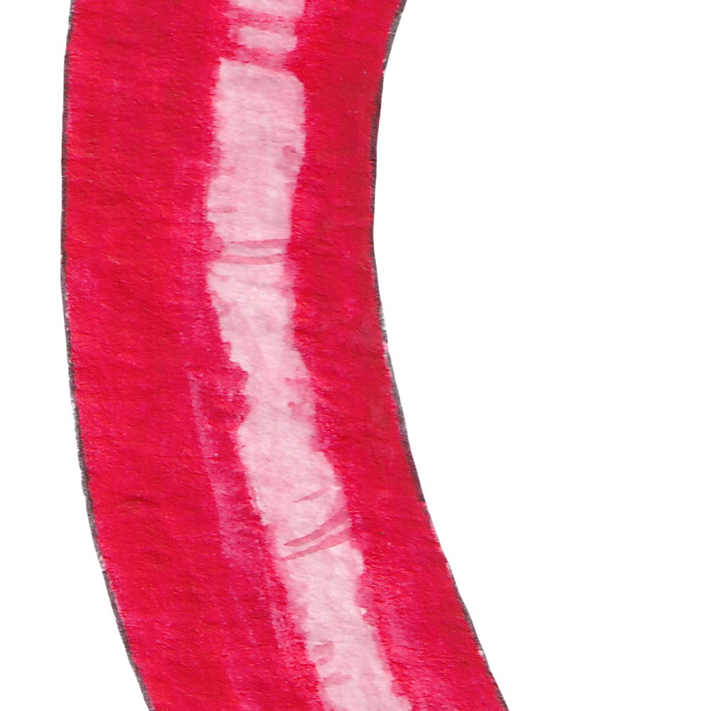 Arwil Art and Design watercolour illustration of a red chilli, with gentle shading and fine line details - cropped to show detail