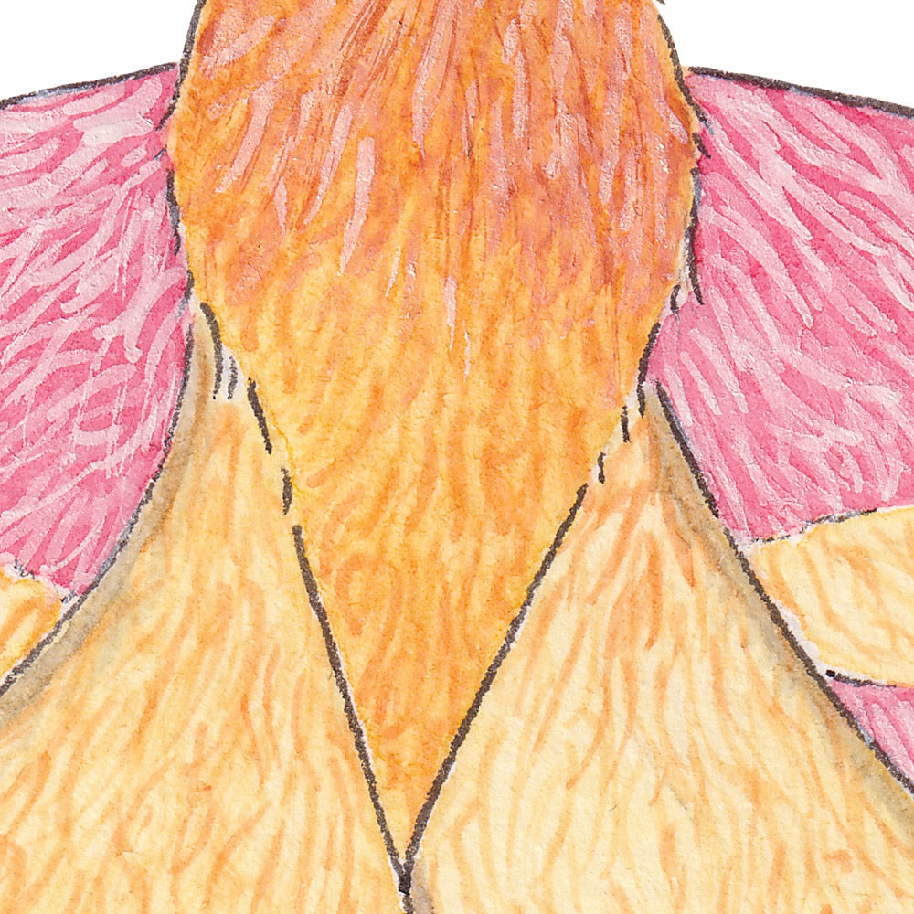 Arwil Art and Design watercolour illustration of a rosy maple moth, with gentle shading and fine line details - cropped to show detail
