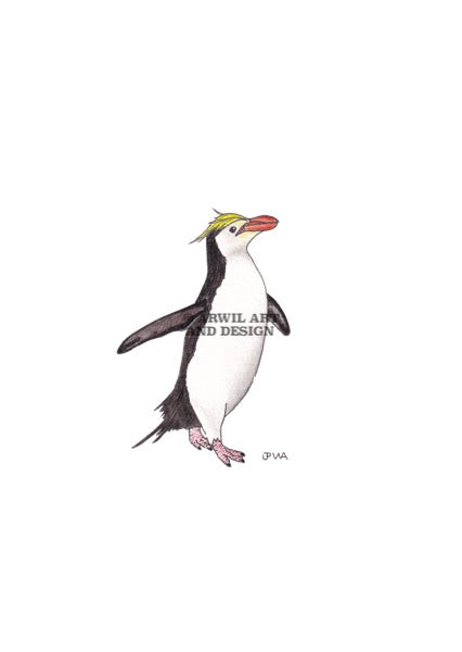 Watercolour illustration of a royal penguin, with gentle shading and fine line details. Watermark copyright Arwil Art and Design