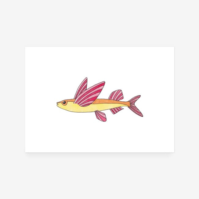Flying Fish Print