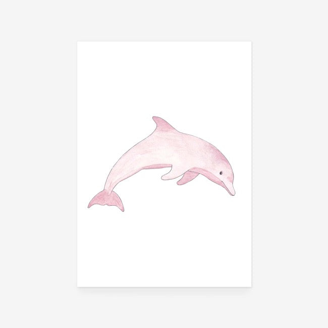 Dolphin Print