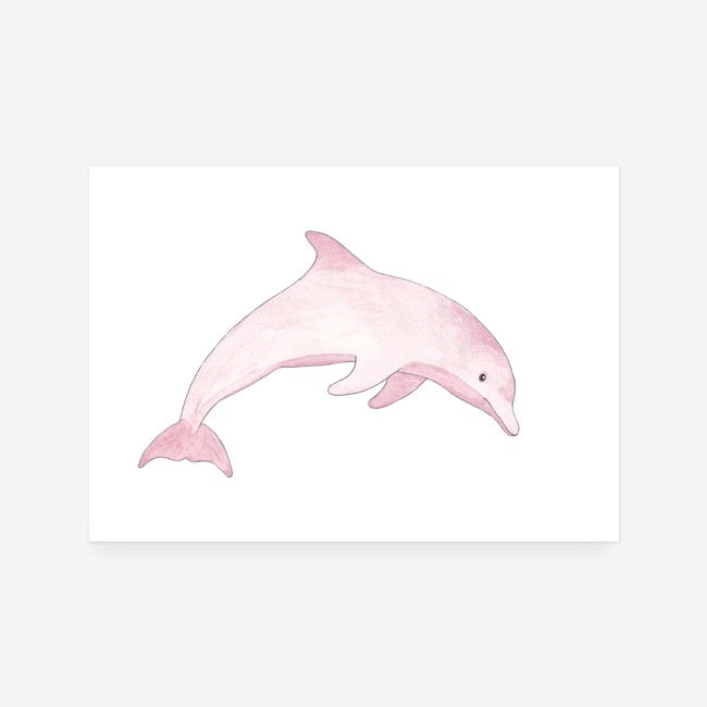 Dolphin Print