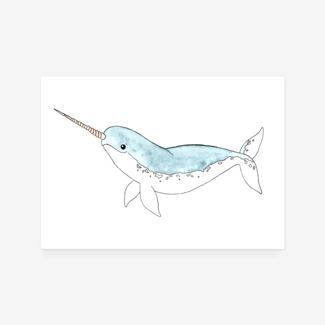 Narwhal Print
