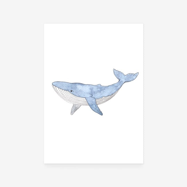 Whale Print