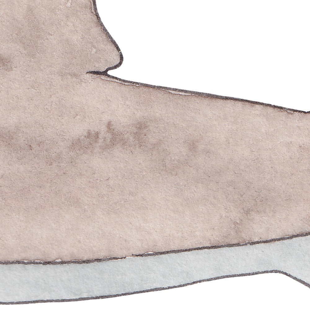 Arwil Art and Design watercolour illustration of a shark, with gentle shading and fine line details - cropped to show detail 