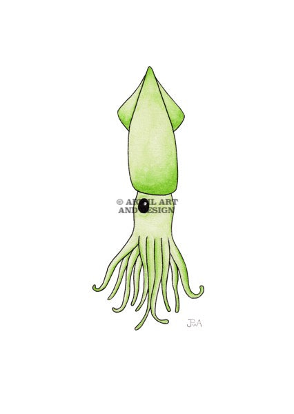 Watercolour illustration of a squid, with gentle shading and fine line details. Watermark copyright Arwil Art and Design