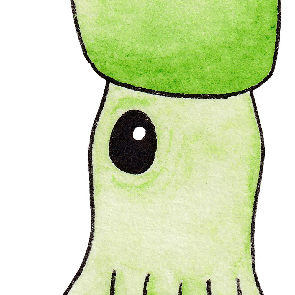 Arwil Art and Design watercolour illustration of a squid, with gentle shading and fine line details - cropped to show detail 