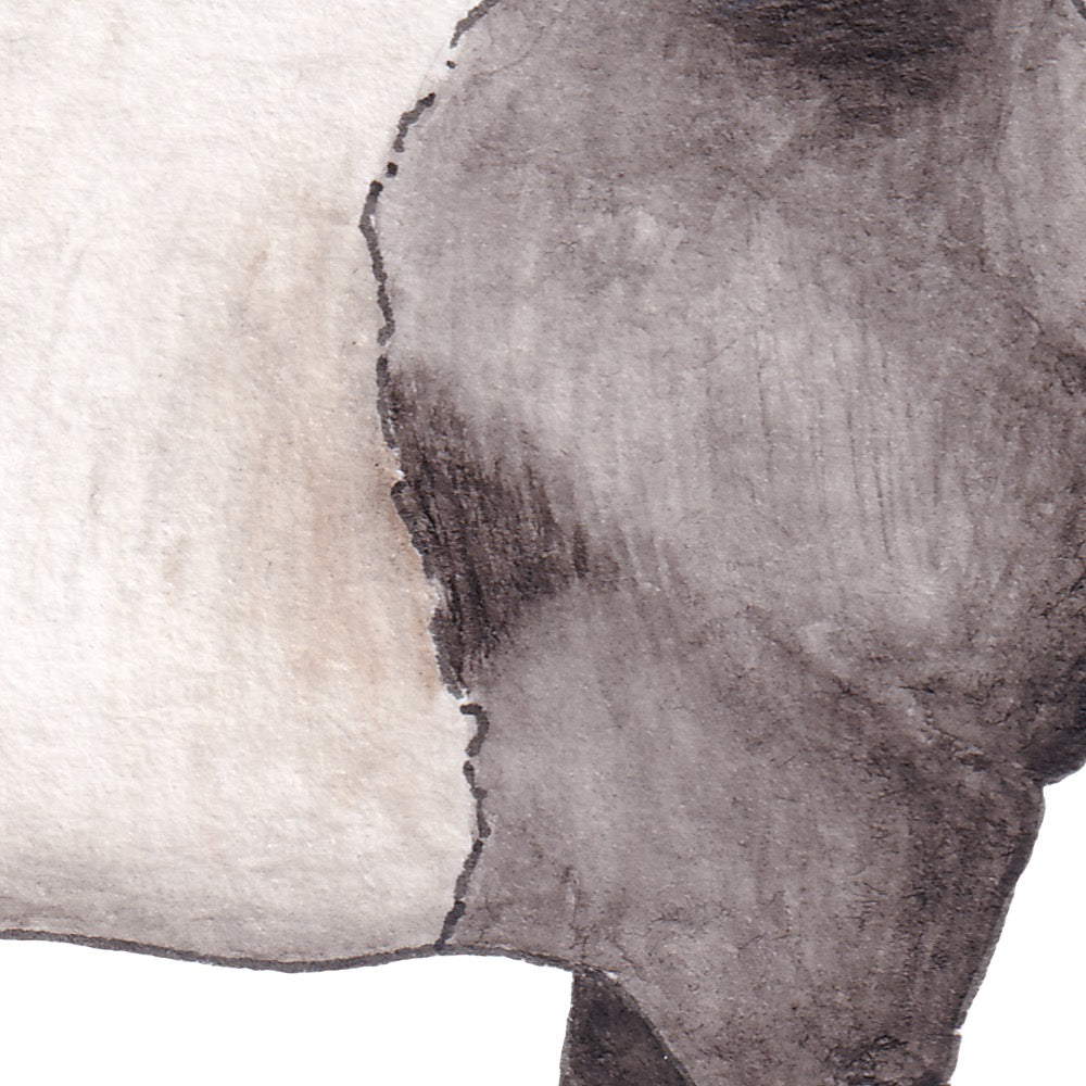 Arwil Art and Design watercolour illustration of a tapir, with gentle shading and fine line details - cropped to show detail