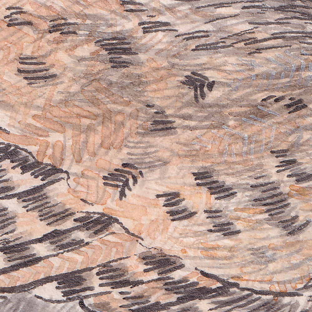 Arwil Art and Design watercolour illustration of a tinamou bird, with gentle shading and fine line details - cropped to show detail