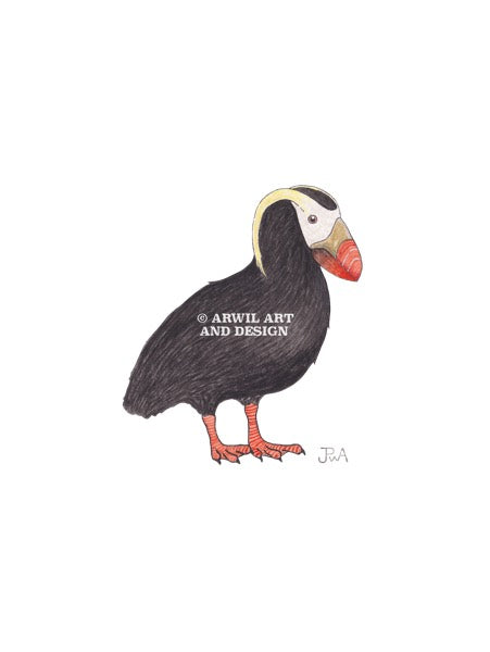 Watercolour illustration of a tufted puffin, with gentle shading and fine line details. Watermark copyright Arwil Art and Design