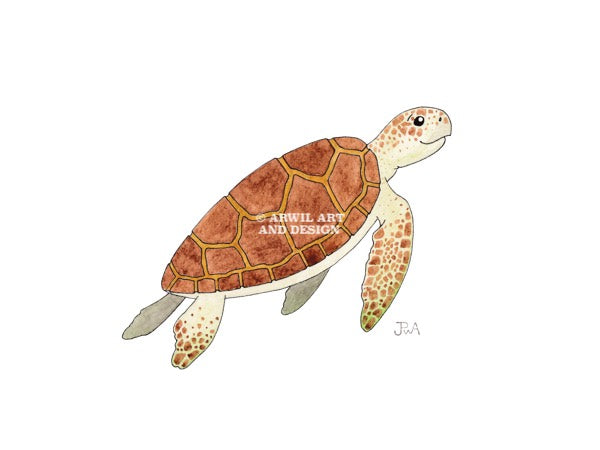 Watercolour illustration of a turtle, with gentle shading and fine line details. Watermark copyright Arwil Art and Design