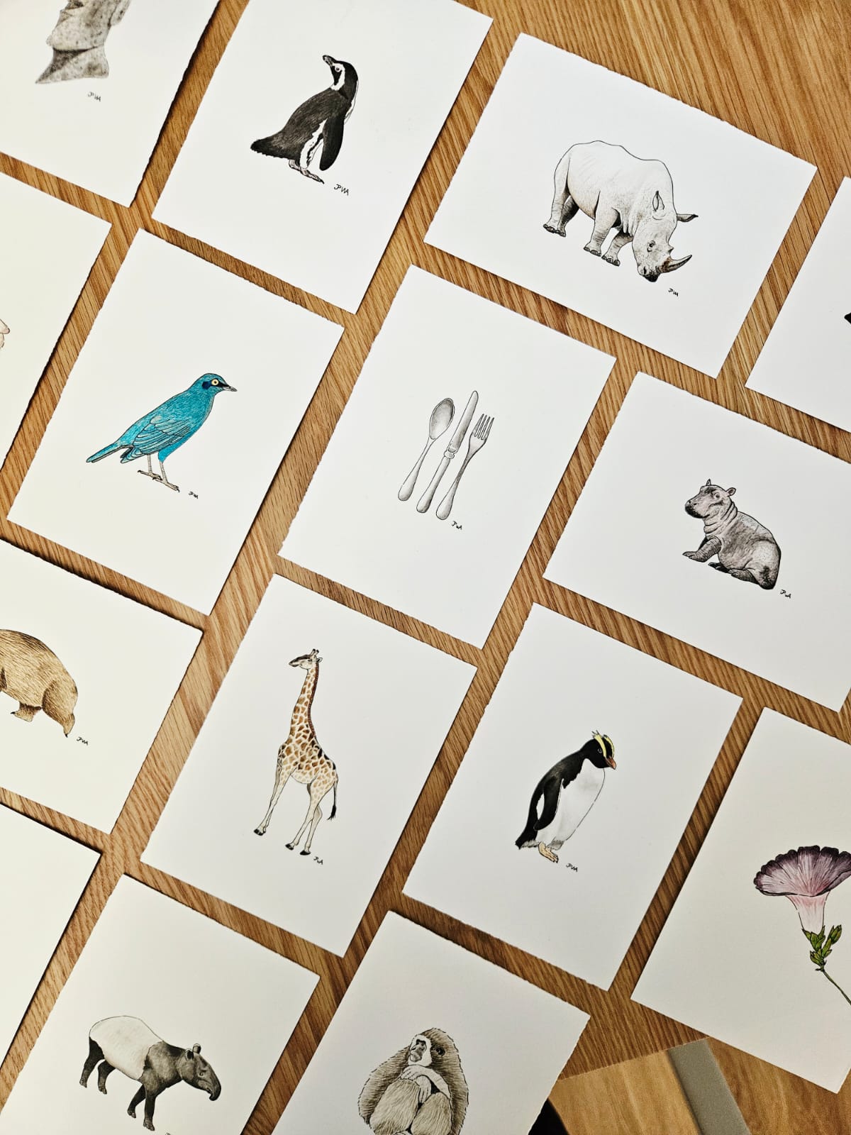 Set of watercolour animal illustrations on white cards, arranged on a wooden surface.