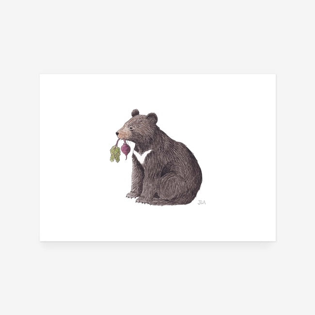 Bears Eat Beets Print