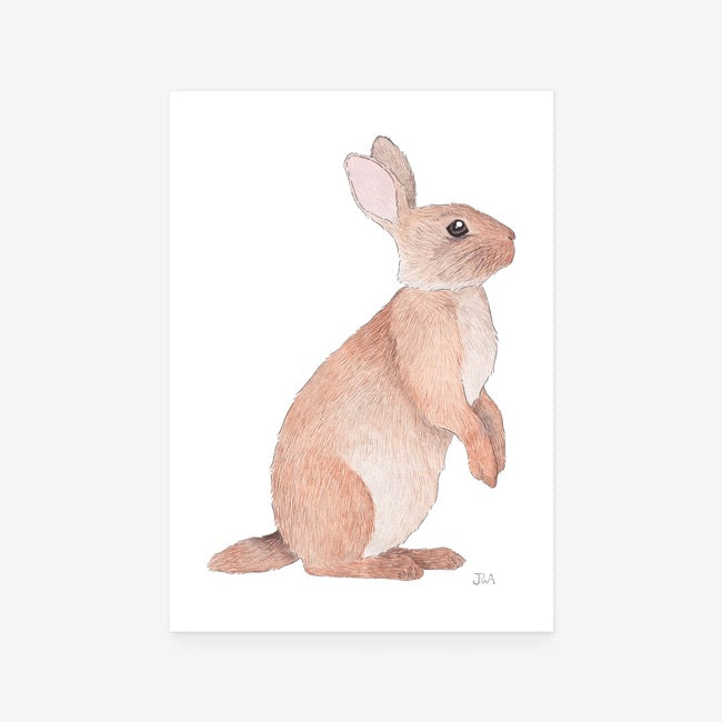 Rabbit Print