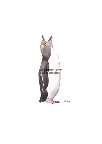 Watercolour illustration of a yellow eyed penguin, with gentle shading and fine line details. Watermark copyright Arwil Art and Design