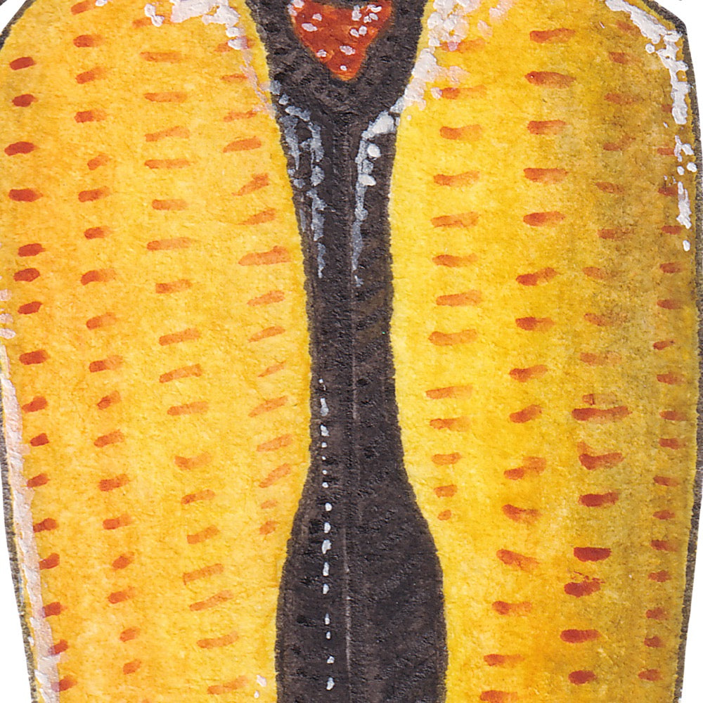 Arwil Art and Design watercolour illustration of a yellow jewel beetle, with gentle shading and fine line details - cropped to show detail